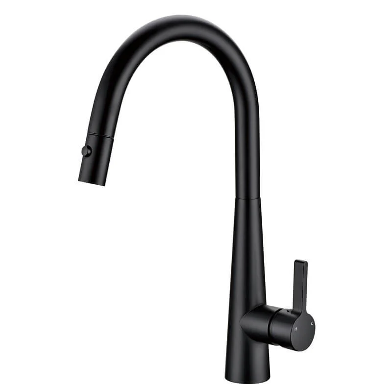Leah LUX Pull Out Sink Mixer with Veggie Spray - Image 3